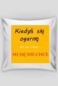 Poszewka na poduszkę Kiedyś się Ogarnę