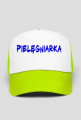 Elegancka i zawodowa