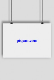 piqam.com big