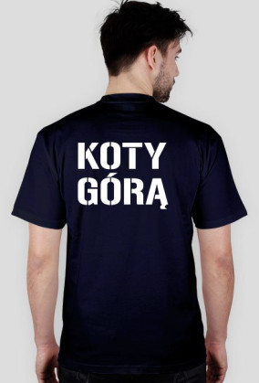 KOTY GÓRĄ