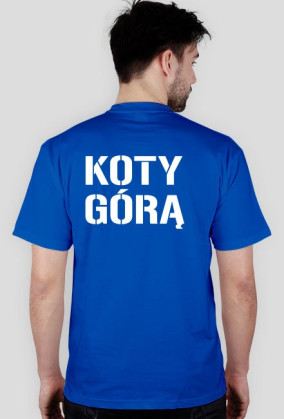 KOTY GÓRĄ
