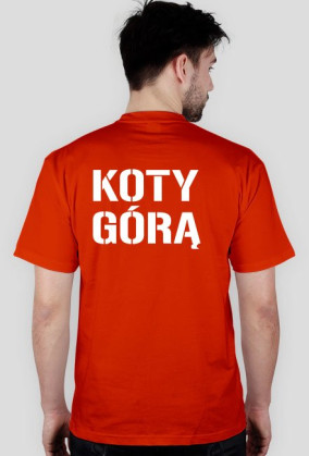 KOTY GÓRĄ
