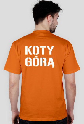 KOTY GÓRĄ