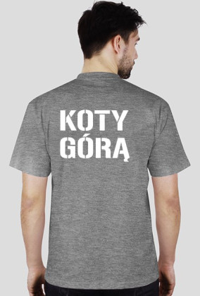 KOTY GÓRĄ