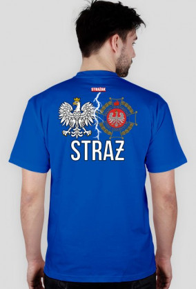 Polska i ZOSP