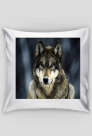Poduszka z Wilkiem