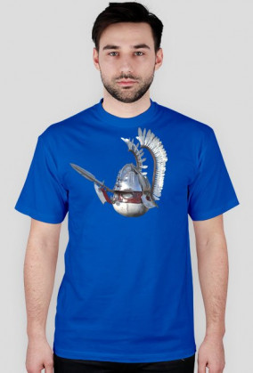 Husaria Polandball Męska