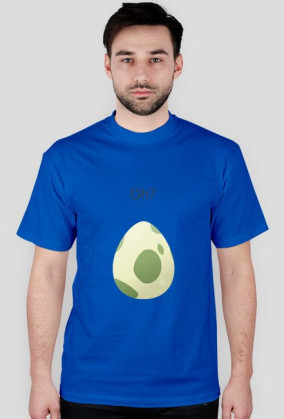 Egg Pokemon Go