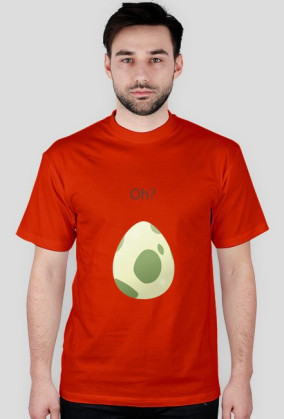Egg Pokemon Go
