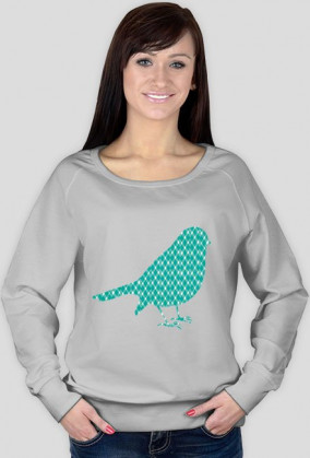 bluza