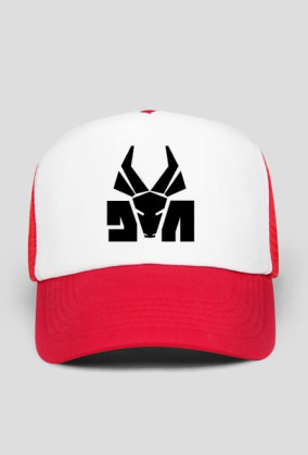 CZAPKA Z DASZKIEM: DIE ANTWOORD