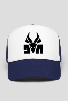 CZAPKA Z DASZKIEM: DIE ANTWOORD