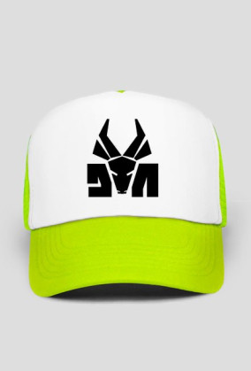 CZAPKA Z DASZKIEM: DIE ANTWOORD