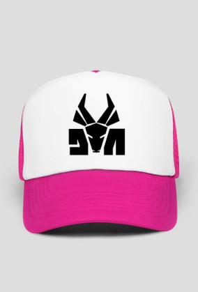 CZAPKA Z DASZKIEM: DIE ANTWOORD