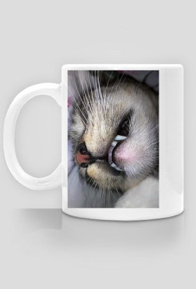 MiauCaffee