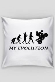 My Evolution Poszewka(poduszka)