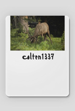 Podkładka pod mysz z napisem Colten1337