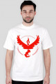 Team #Valor