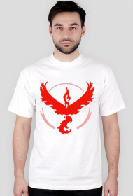 Team #Valor