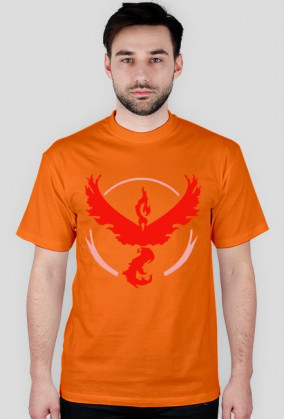 Team #Valor