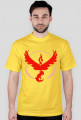 Team #Valor
