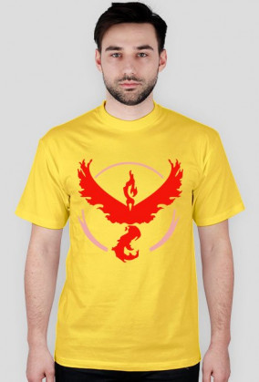 Team #Valor