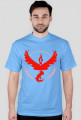 Team #Valor
