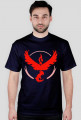 Team #Valor