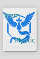team mistic