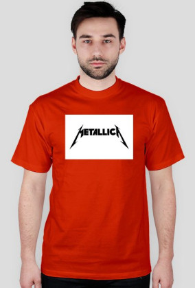 Metallica 11