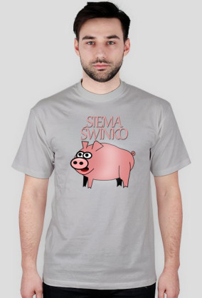 SIEMA ŚWINKO / Multi