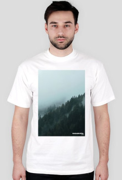 Cloudy forest