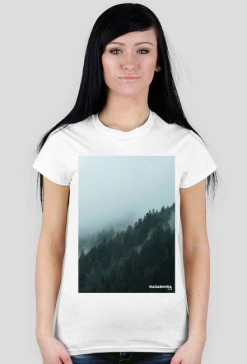 Cloudy forest