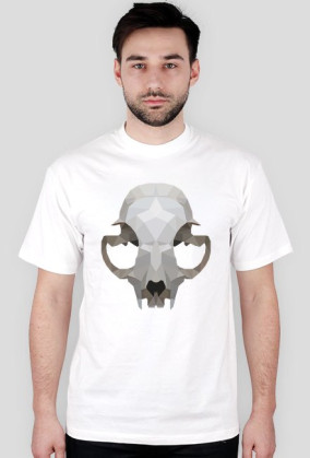 Cat Skull