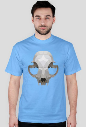 Cat Skull