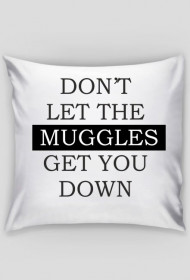 DON'T LET THE MUGGLES GET YOU DOWN