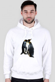 Bluza męska z kapturem Pingwiny