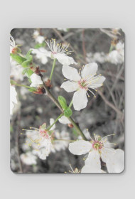 Podkładka Spring #2