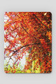 Podkładka Autumn #1