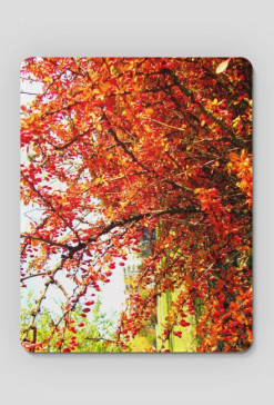 Podkładka Autumn #1