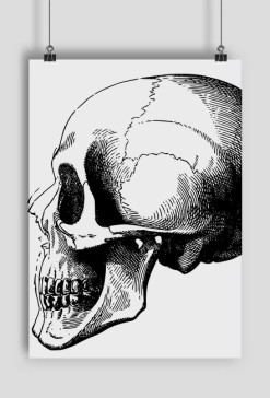 SKULL plakat