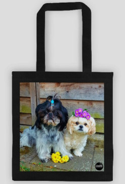 Lola&Benuś 2