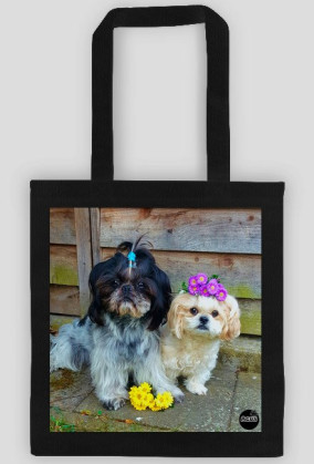 Lola&Benuś 2