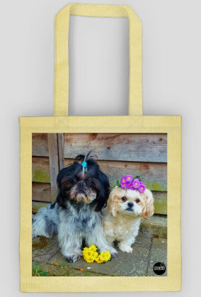 Lola&Benuś 2