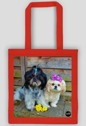 Lola&Benuś 2