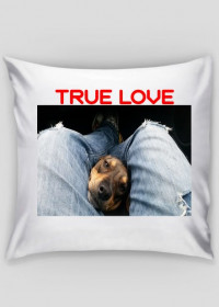 Poduszka z psem "True love"