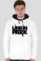 linkin park