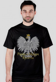 Pieśń o Małym Rycerzu