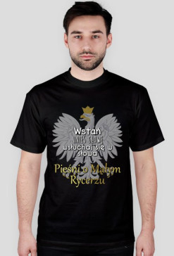 Pieśń o Małym Rycerzu
