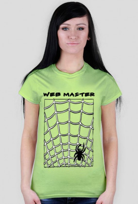 web master